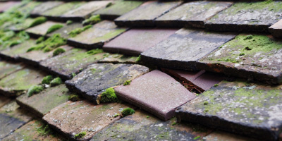 Alltwalis roof repair costs